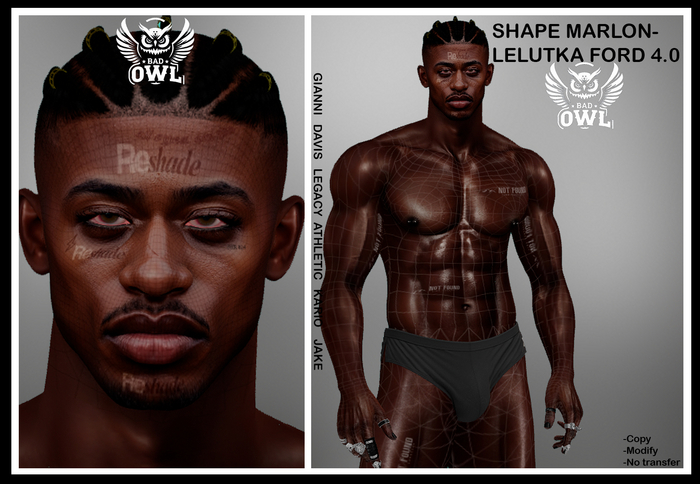 SHAPE MARLON-LELUTKA FORD 4.0