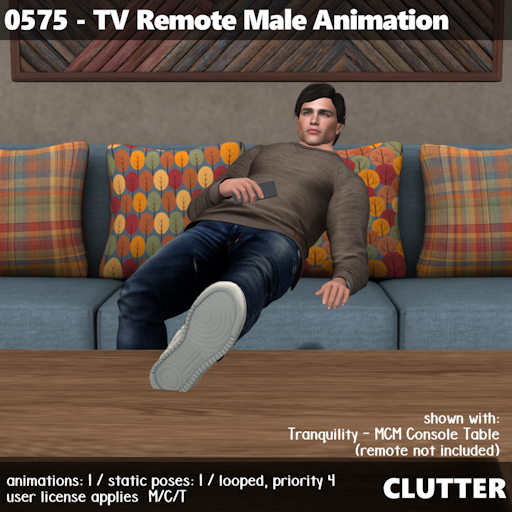 Clutter - 0575 TV Remote Male Animation