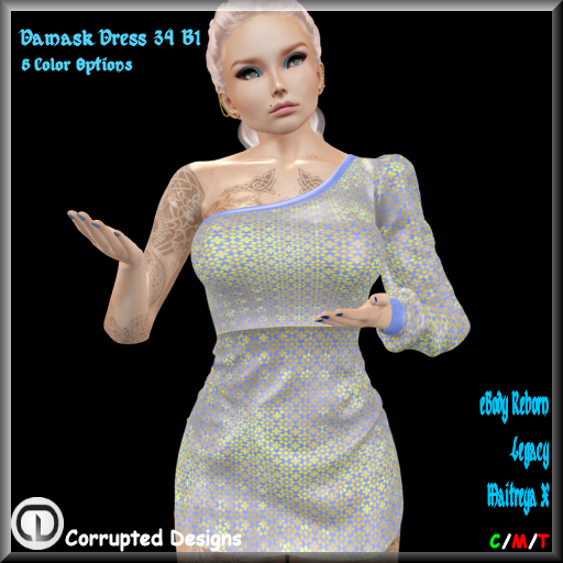 Damask Dress 34 B1