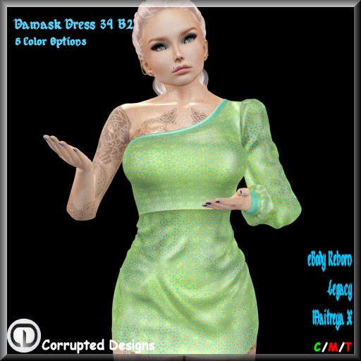 Damask Dress 34 B2