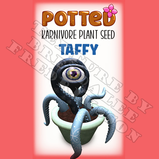 Potted: Karnivore Plant Seed: Taffy (ACTUAL PLANT SEED) - Retired!