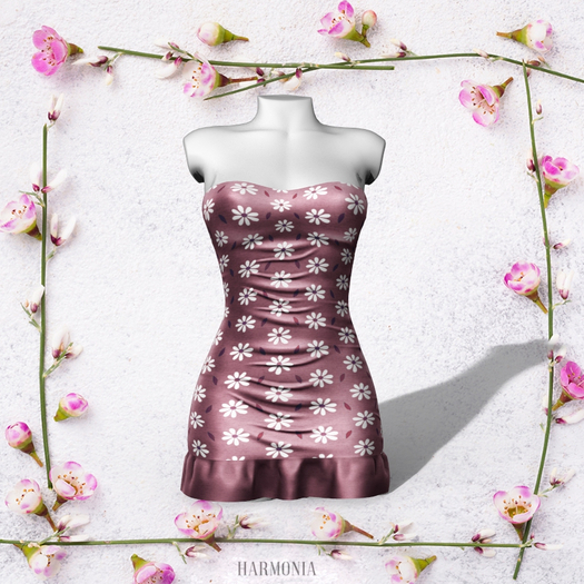 Reborn Dress