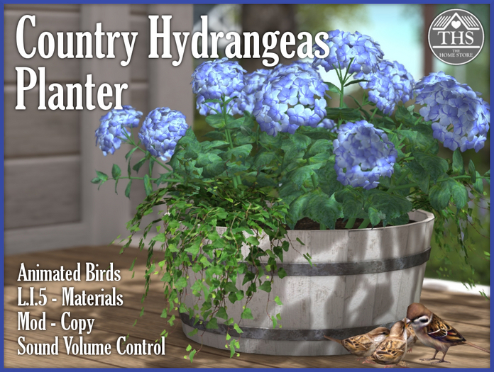 HYDRANGEAS