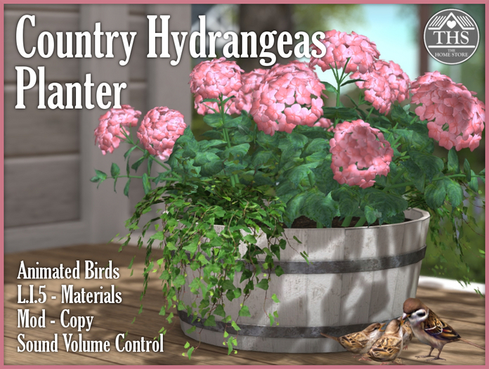 HYDRANGEAS