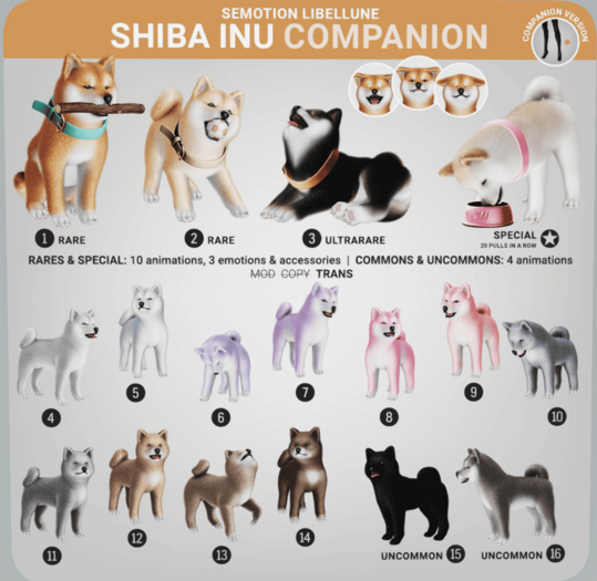 SEmotion Libellune Shiba Inu Companion COMMON 08