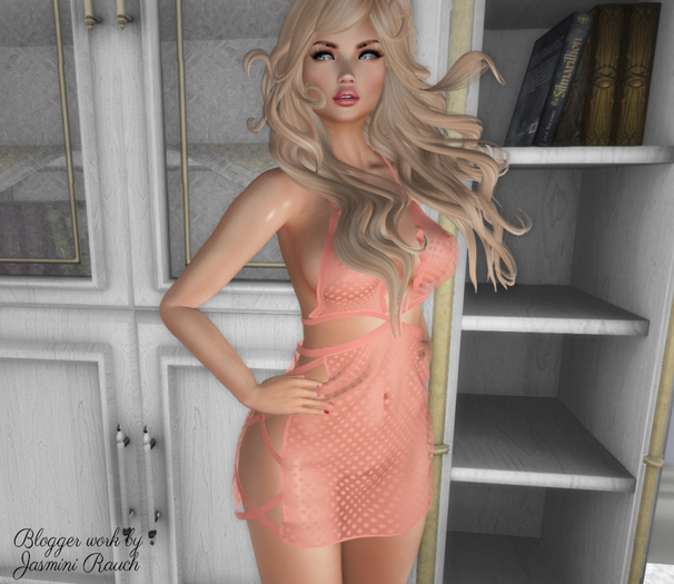 Sheer Petite Dress