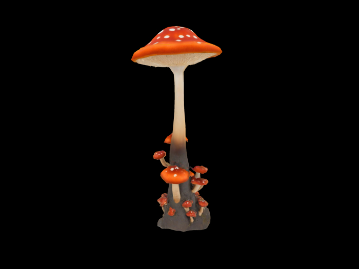 HB: Mushroom Tree FuLL PERM