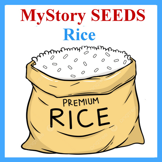 MyStory Seeds (Rice) x 25