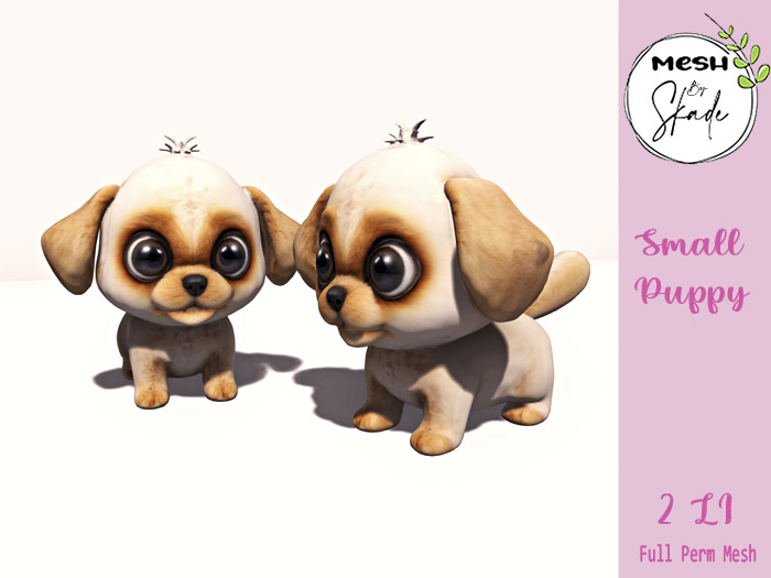 MBS - Small Puppy 