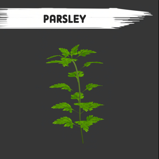 Parsley - [MyStory]