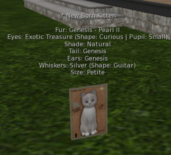 KittyCatS Box - Genesis Pearl II