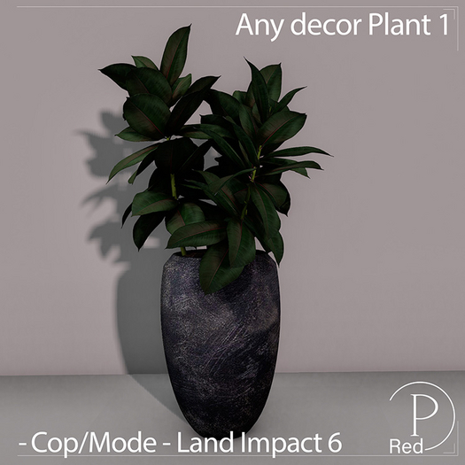 P.ReD. Any decor Plant 1 - Box