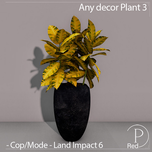 P.ReD. Any decor Plant 3 - Box