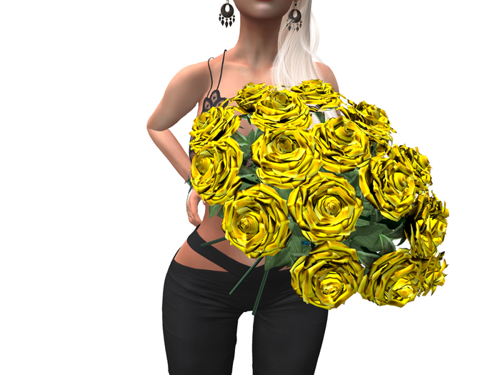 #13 [ SpotCat ] Delicate motives - Roses yellow