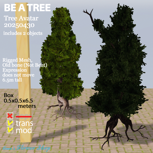 (g.) Tree Avatar 20250430