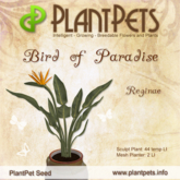 PlantPet Seed [Bird of Paradise *Reginae*] Common