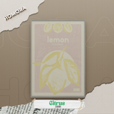 Homora - Citrus Lemons Frame!