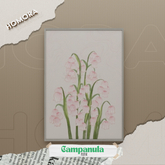 Homora - Campanula Frame!