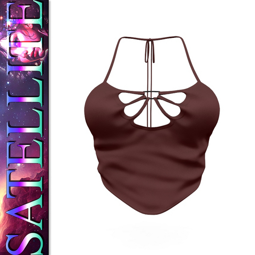 Petite Top