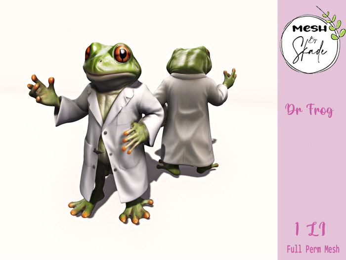 MBS - Dr Frog