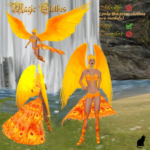 magic clothes phenix outfits
