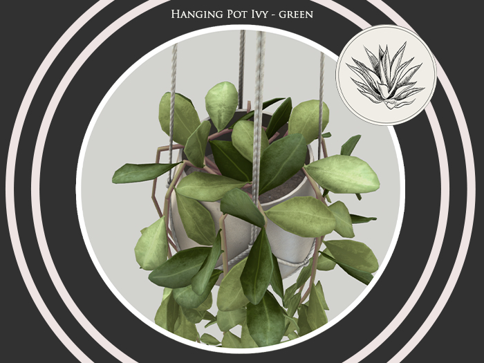 FINCA - hanging pot ivy - green