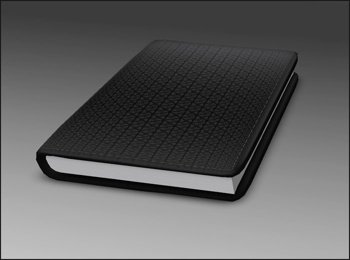 [ kunst ] - Diary / black leather pattern
