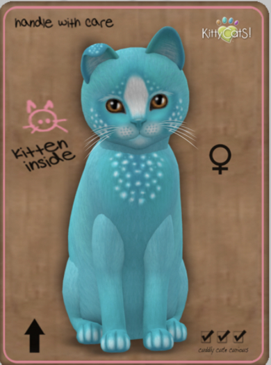 KittyCatS Box - Confetti - TealBerry Female