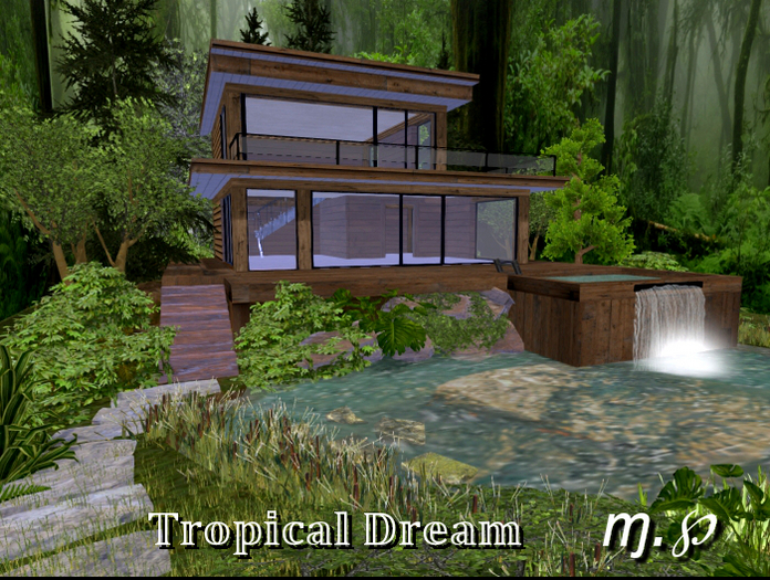 M.P Tropical Dream
