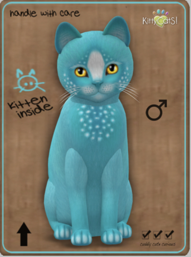 KittyCatS Box - Confetti - TealBerry Male