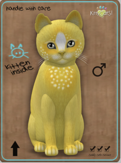 KittyCatS Box - Confetti - LemonBerry Male