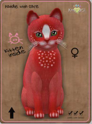 KittyCatS Box - Confetti - CherryBerry Female