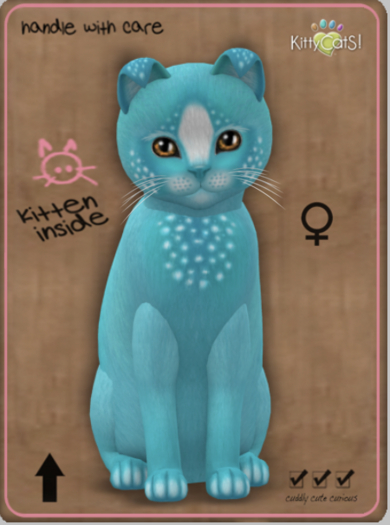 KittyCatS Box - Confetti - TealBerry Female