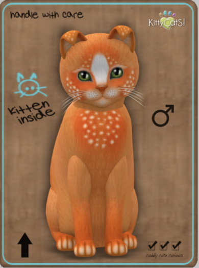 KittyCatS Box - Confetti - OrangeBerry Male