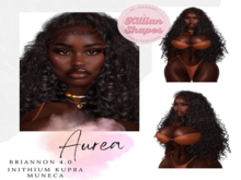 Aurea/ Shape LeL Briannon head 4.0 Evo X