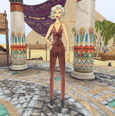 [SLZS] PMR Cardy Steampunk Corset and Jeans (brown)