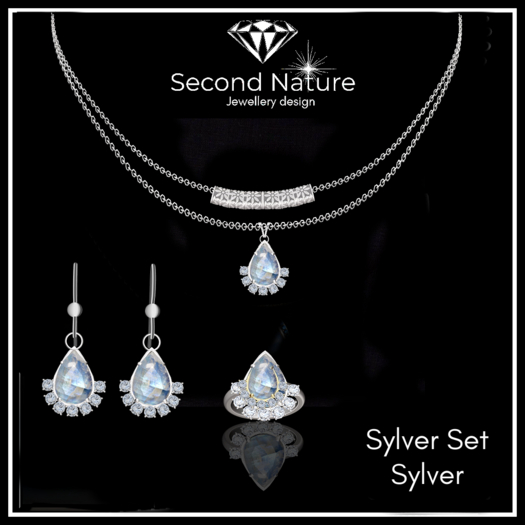 SNJ Sylver Set Silver ADD!