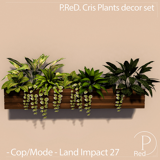 P.ReD. Cris Plants decor set  - Box
