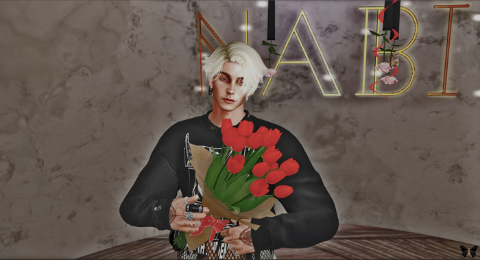 Nabi Tulips - flower bouquet - ADD OR GIFT