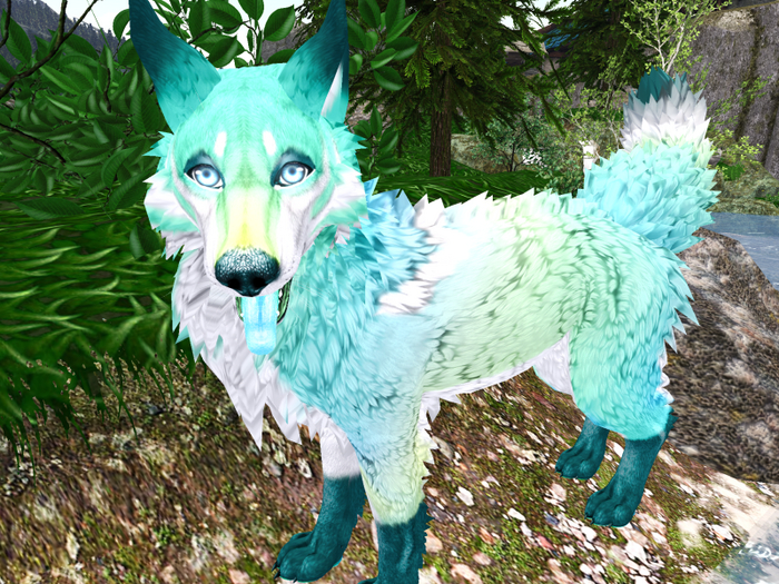 Seafoam for TWI Wolf Package