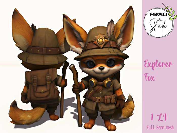 MBS - Explorer Fox 