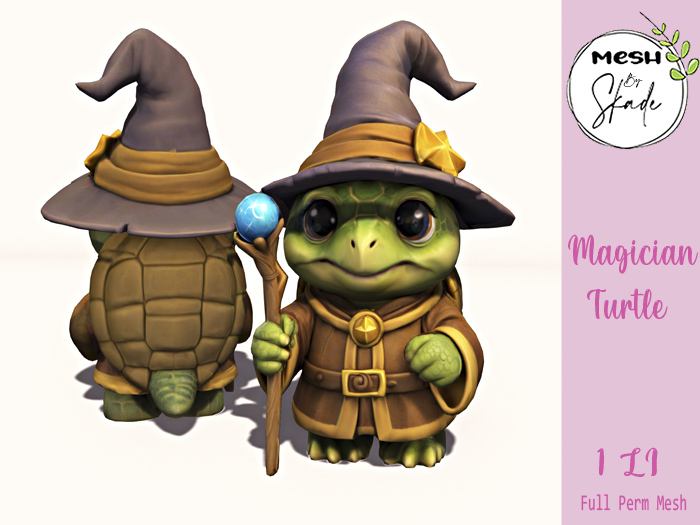 MBS - Magician Turtle 