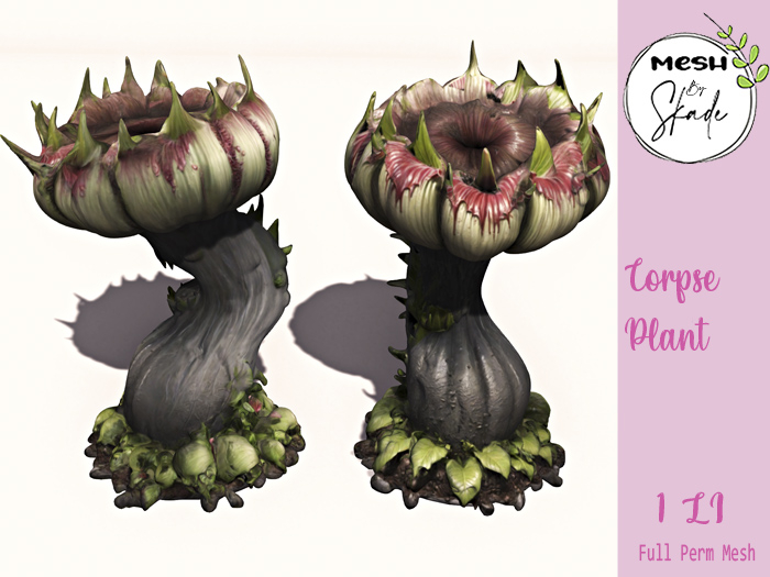 MBS - Corpse Plant