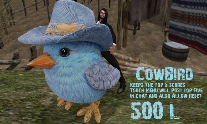Blue Bird Cowboy Rodeo Ride 2025