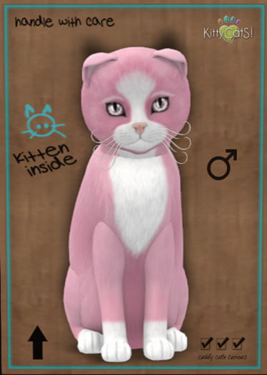9T KittyCatS Chateau Cat - Pink & White No. 1 (male)