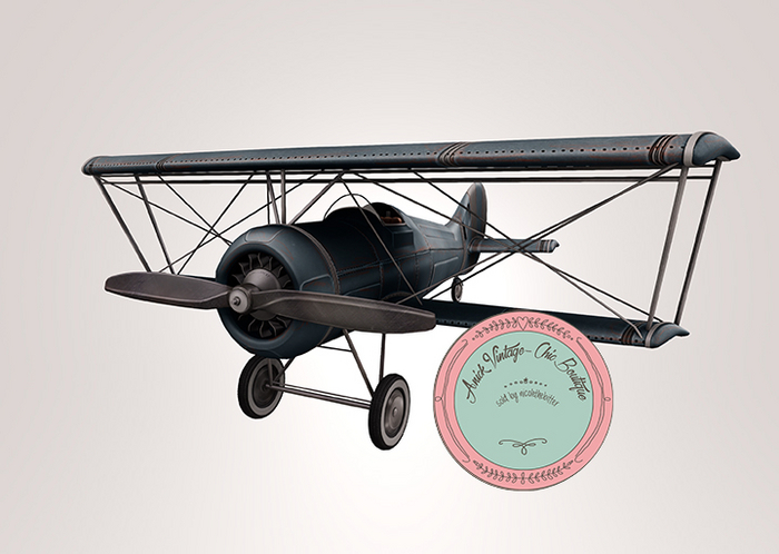 [Con.] Vintage BiPlanes - Slate