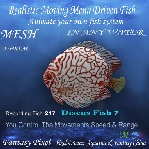 Swimming Fish