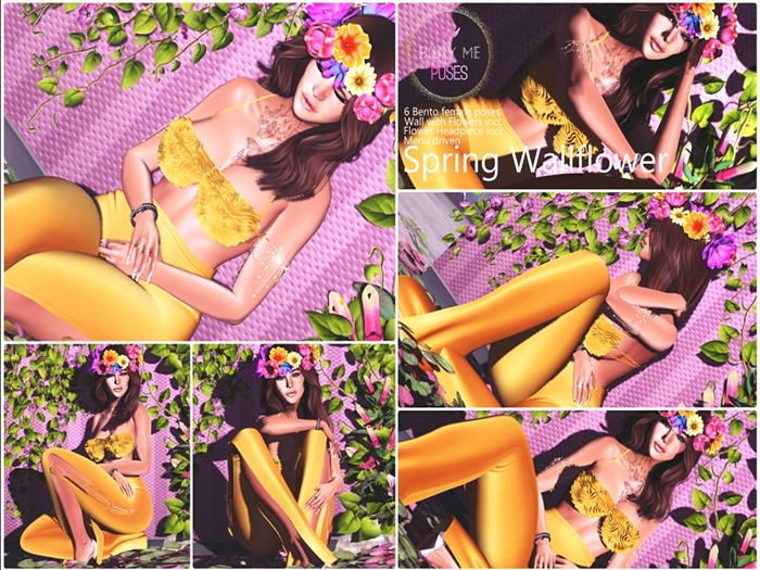 B(u)Y ME: Spring Wallflower . SF .(BOX//WEAR)