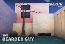 Irene Park Backdrop - The Bearded Guy