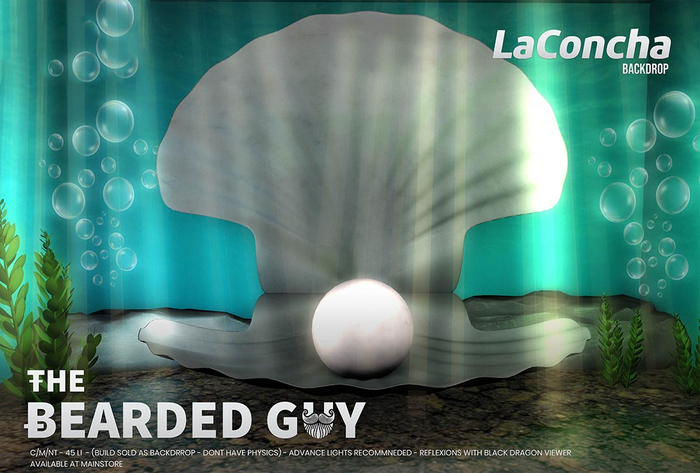 La Concha Backdrop - The Bearded Guy